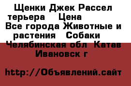 Щенки Джек Рассел терьера  › Цена ­ 15 000 - Все города Животные и растения » Собаки   . Челябинская обл.,Катав-Ивановск г.